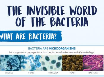 Cover bacteria article
