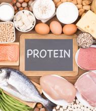 Article protéines