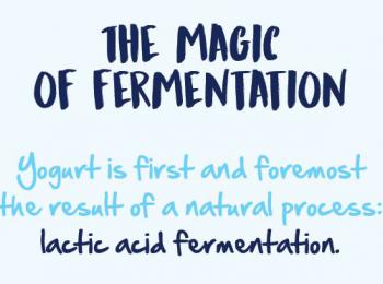 Cover article fermentation