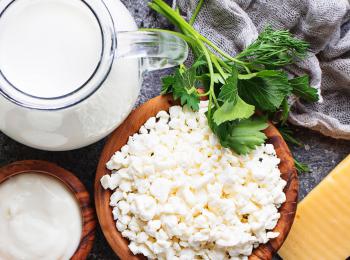 Quelle place pour les produits laitiers dans l'alimentation durable ?