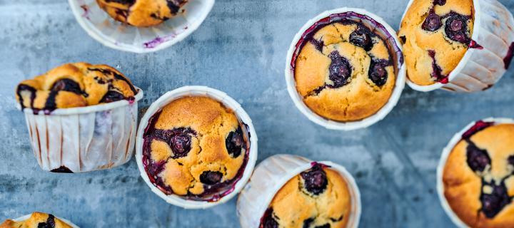 Muffins au yaourt nature Danone 1919 et aux myrtilles